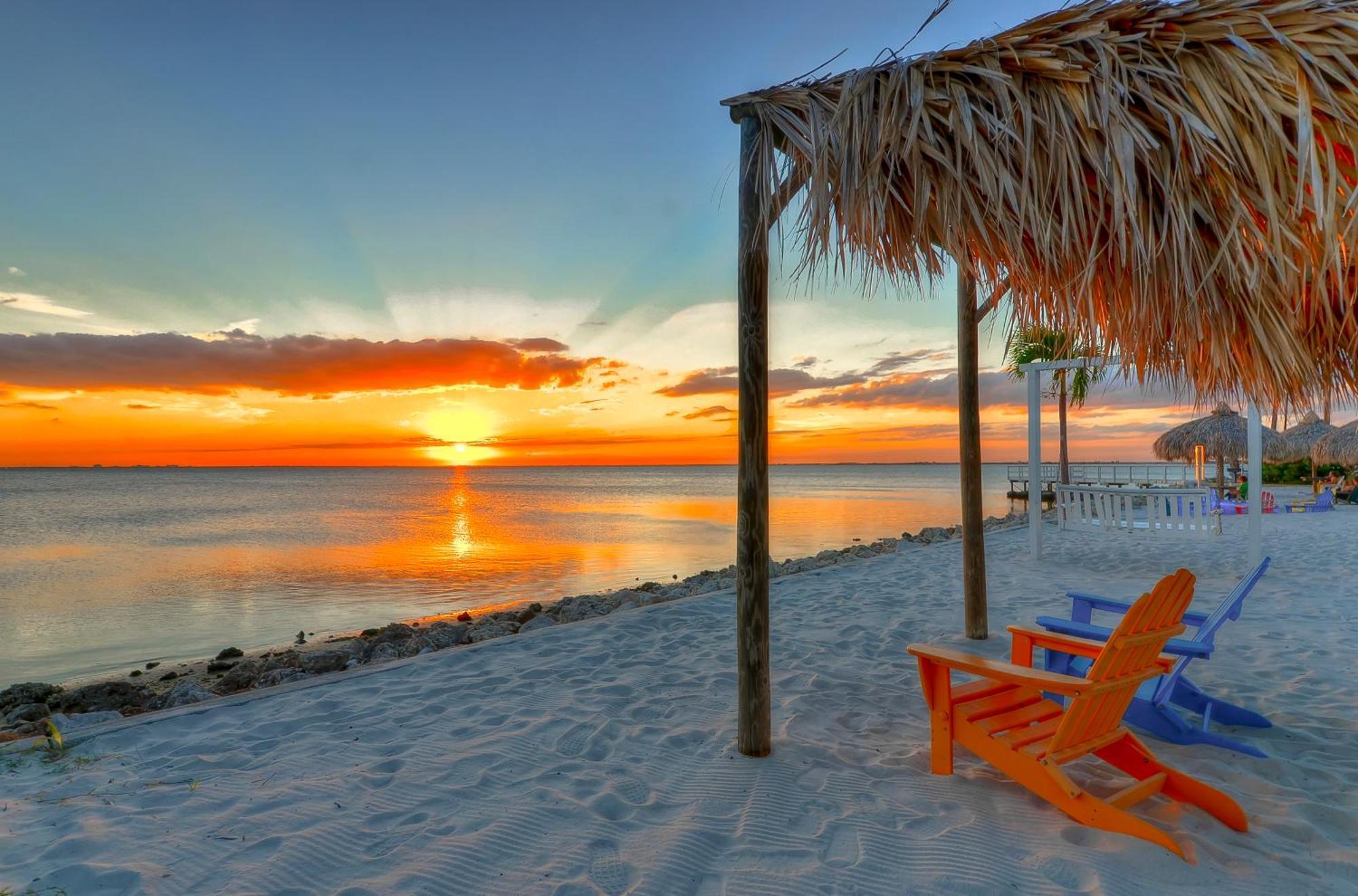 227-Wifi, New Paint, Amazing Views, Close To Bucs Stadium Tampa Exterior foto